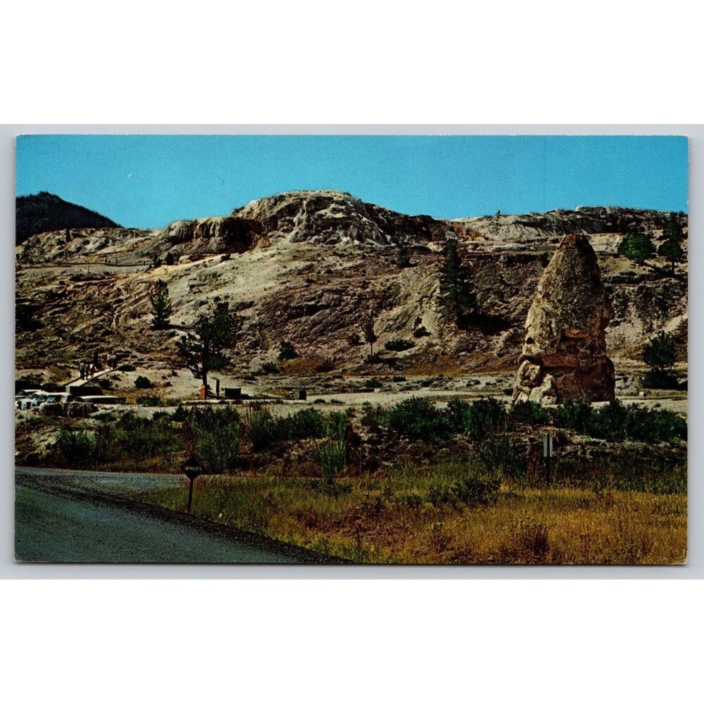 Vtg Yellowstone National Park Postcard Liberty Cap Haynes Studios 60K002